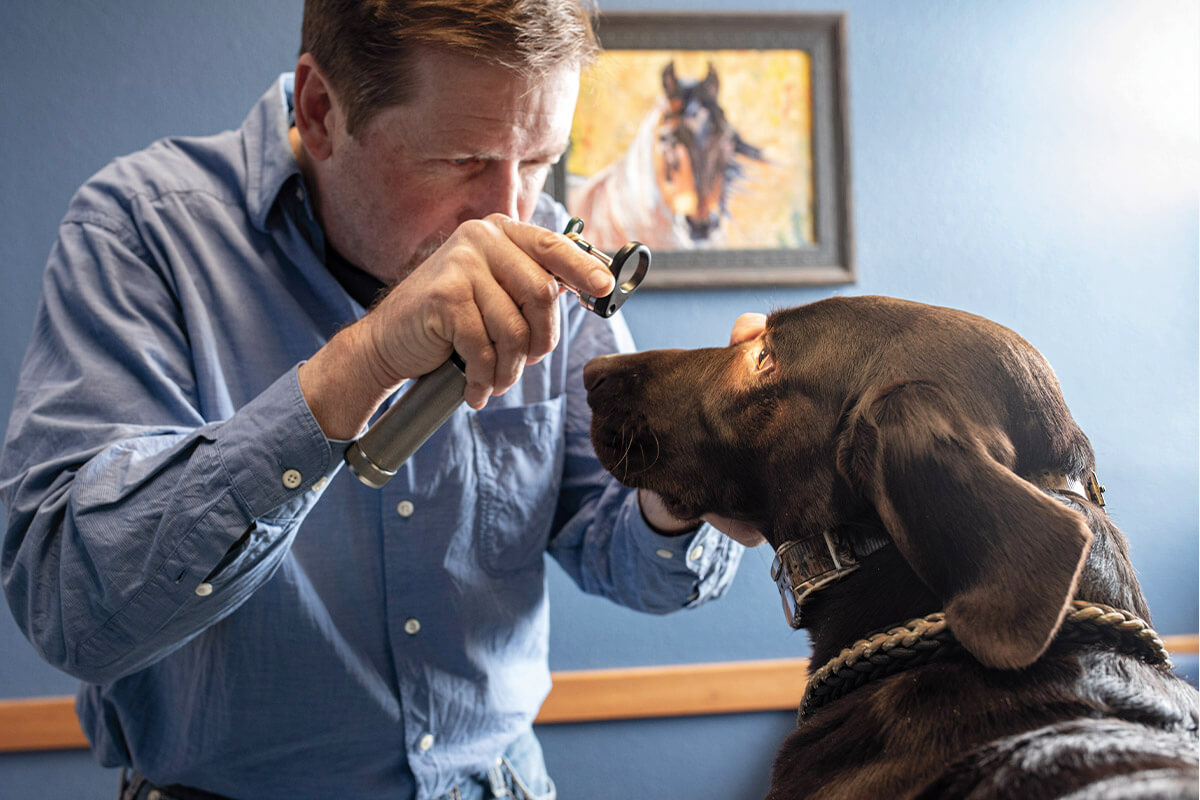 VetTech